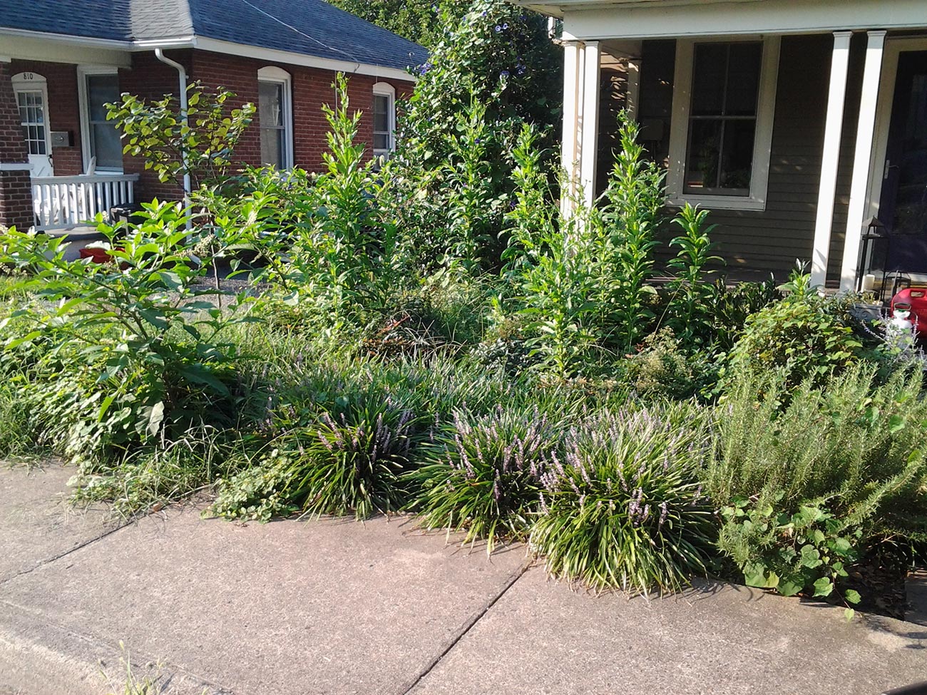 Landscaping Services Image 5